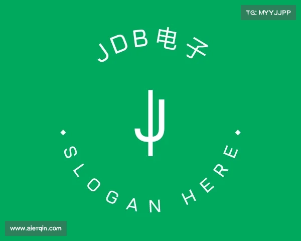 介绍JDB电子
